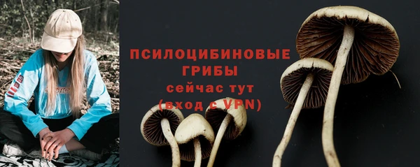 альфа пвп Лагань