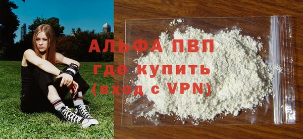 ГАЛЛЮЦИНОГЕННЫЕ ГРИБЫ Ладушкин