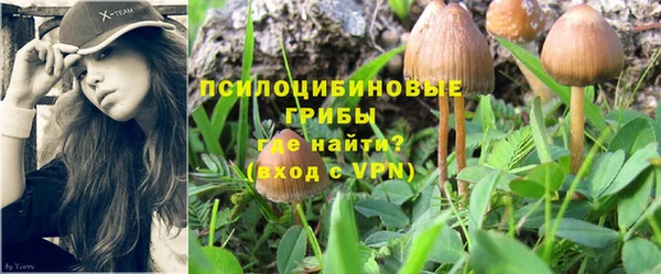 ГАЛЛЮЦИНОГЕННЫЕ ГРИБЫ Ладушкин