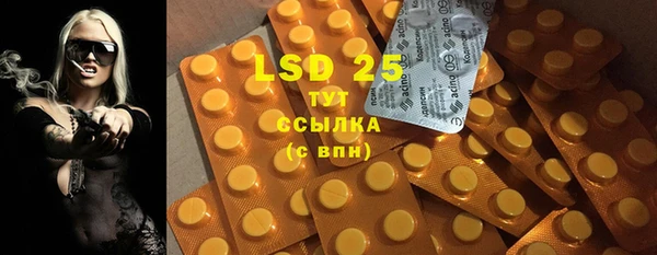 ГАЛЛЮЦИНОГЕННЫЕ ГРИБЫ Ладушкин