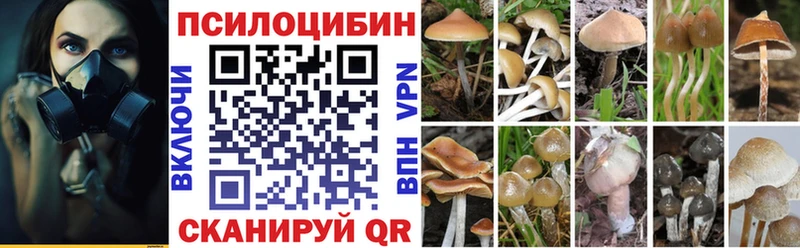 mega рабочий сайт  Чудово  Галлюциногенные грибы Psilocybe 